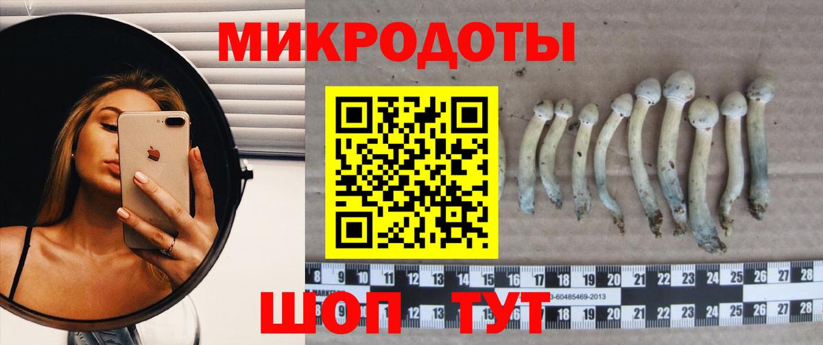 где продают наркотики  Вход с VPN  Кингисепп  Псилоцибиновые грибы мухоморы 