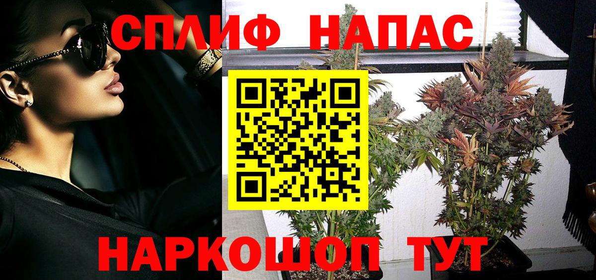 Кингисепп  Конопля  Мефедрон   Вход с VPN  Гашиш  Бошки Шишки  Кокаин 