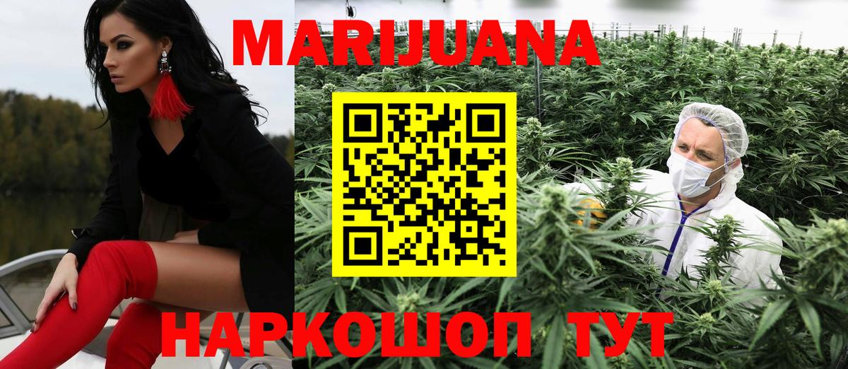 ГАШ Кингисепп
